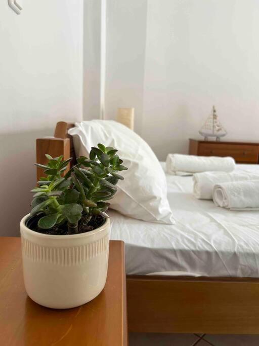 Cozy Studio In Skala, Agistri Lägenhet Exteriör bild