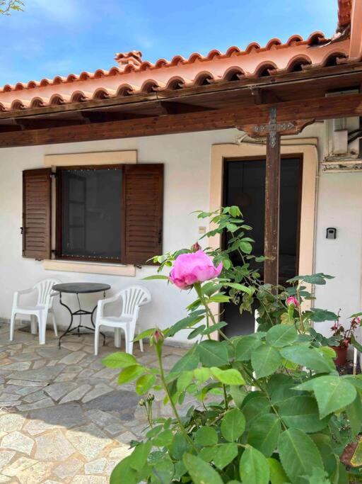 Cozy Studio In Skala, Agistri Lägenhet Exteriör bild
